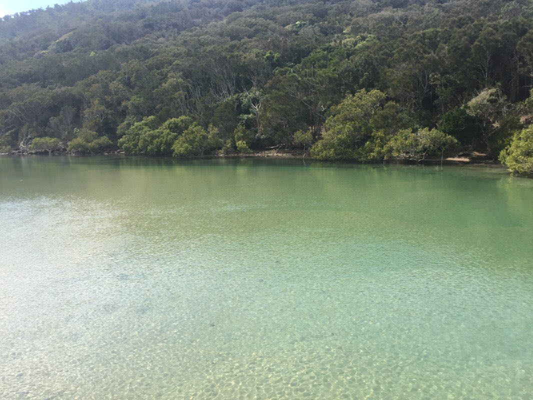 walking near me in Hat Head National Park in summer