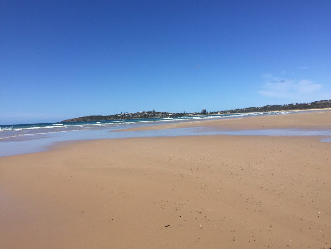 walking near me in Coffs Coast Regional Park in summer