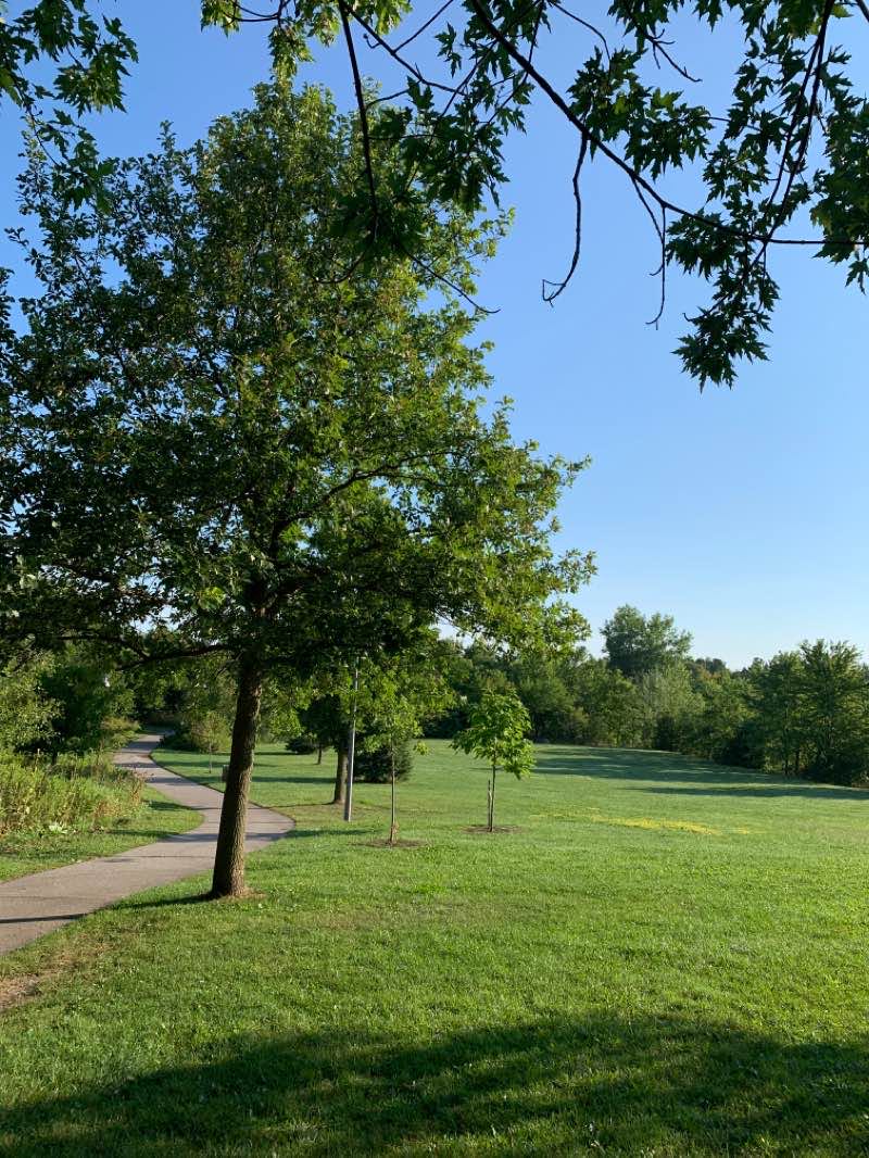 walking near me in Lake Wilcox Park in winter