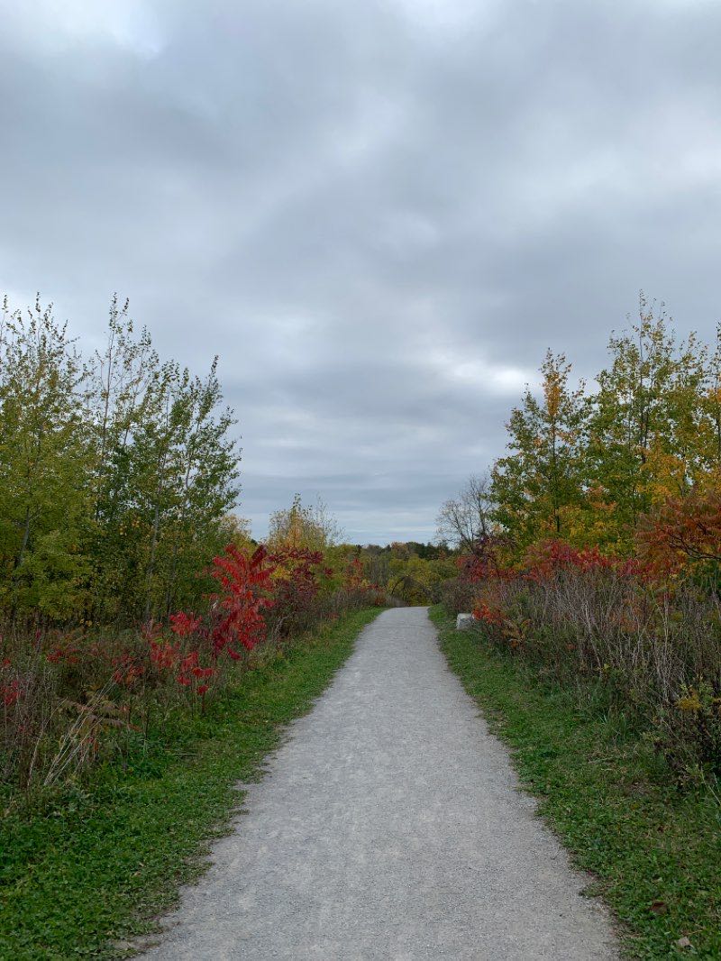 walking near me in Rouge National Urban Park (Bob Hunter Memorial) in winter