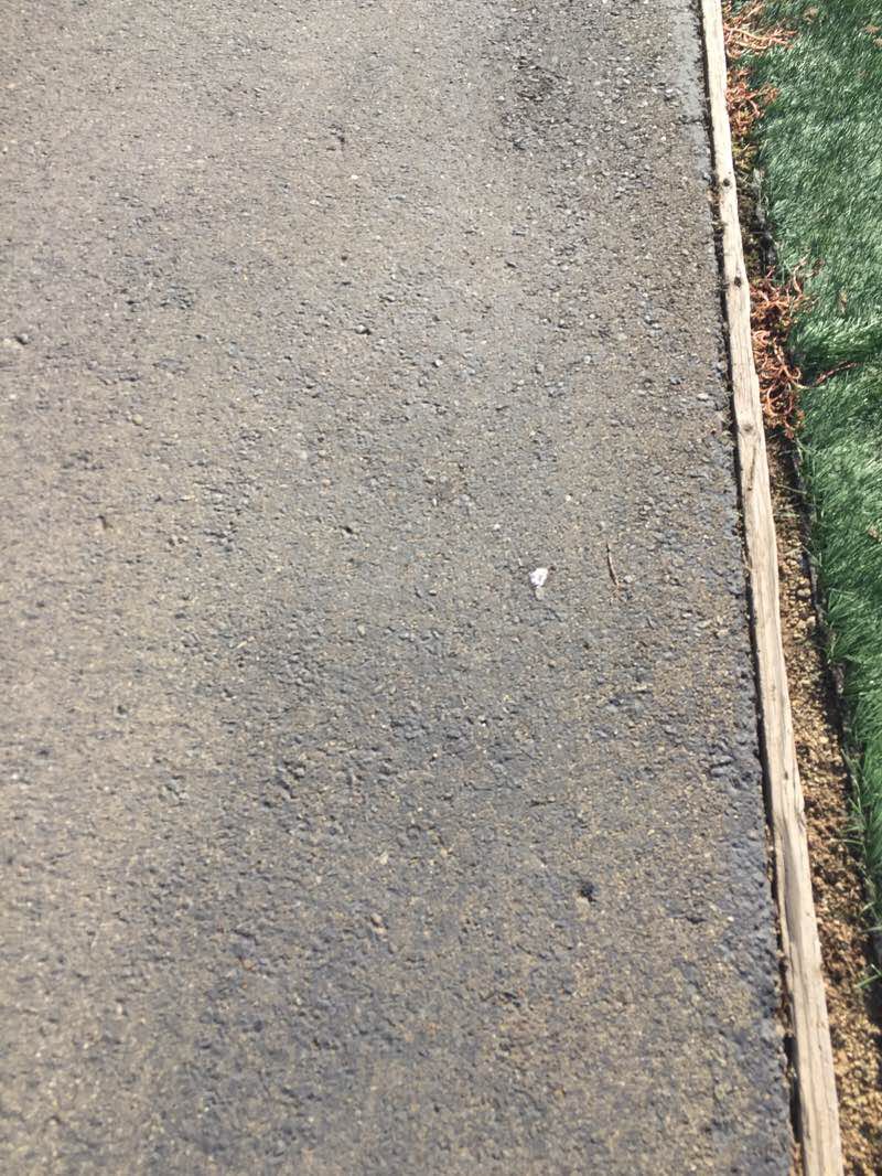 walking near me in Whitney Community Park in winter