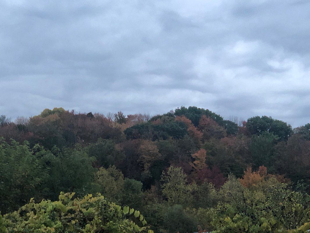 walking near me in T R Proctor Park in winter