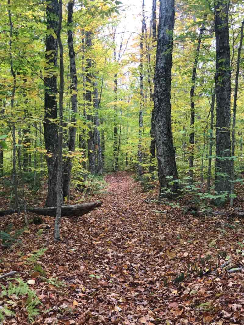 walking near me in Ha-De-Ron-Dah Wilderness in winter