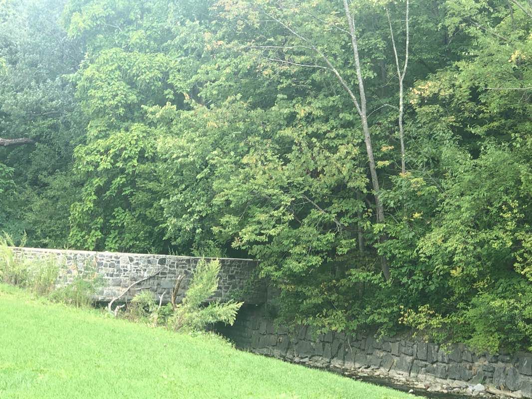 walking near me in F T Proctor Park in winter