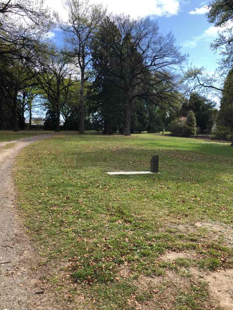 walking near me in Boland Park in summer