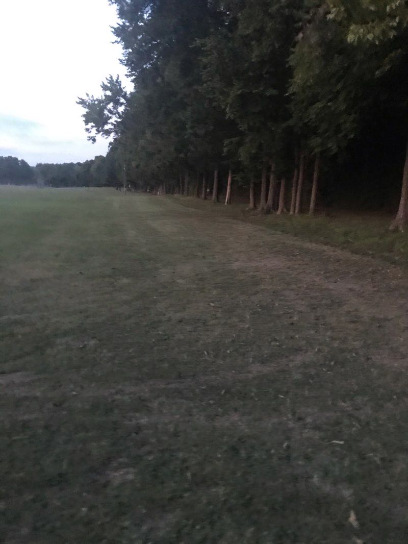 walking near me in Othneil Looker Park in winter