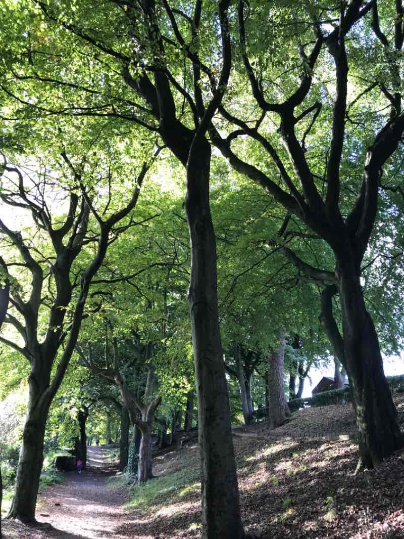 walking near me in Foxdenton Park in winter