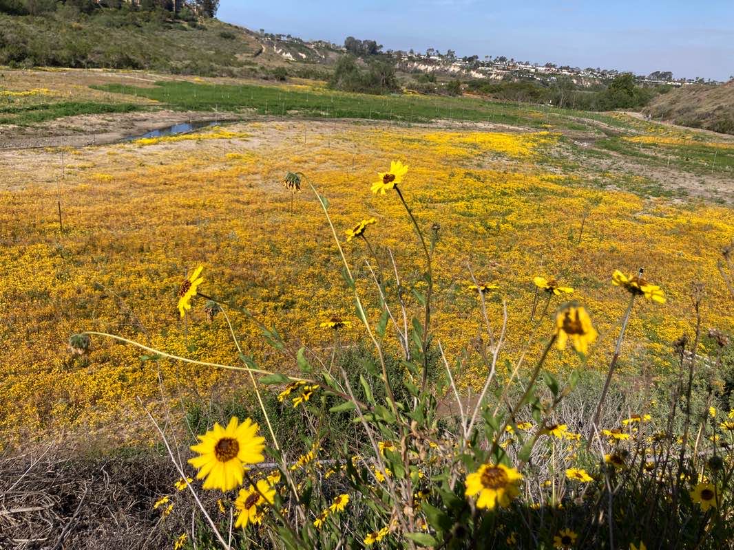 walking near me in Civic Center Park in winter