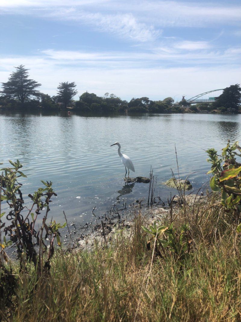 walking near me in Point Emery Park in winter