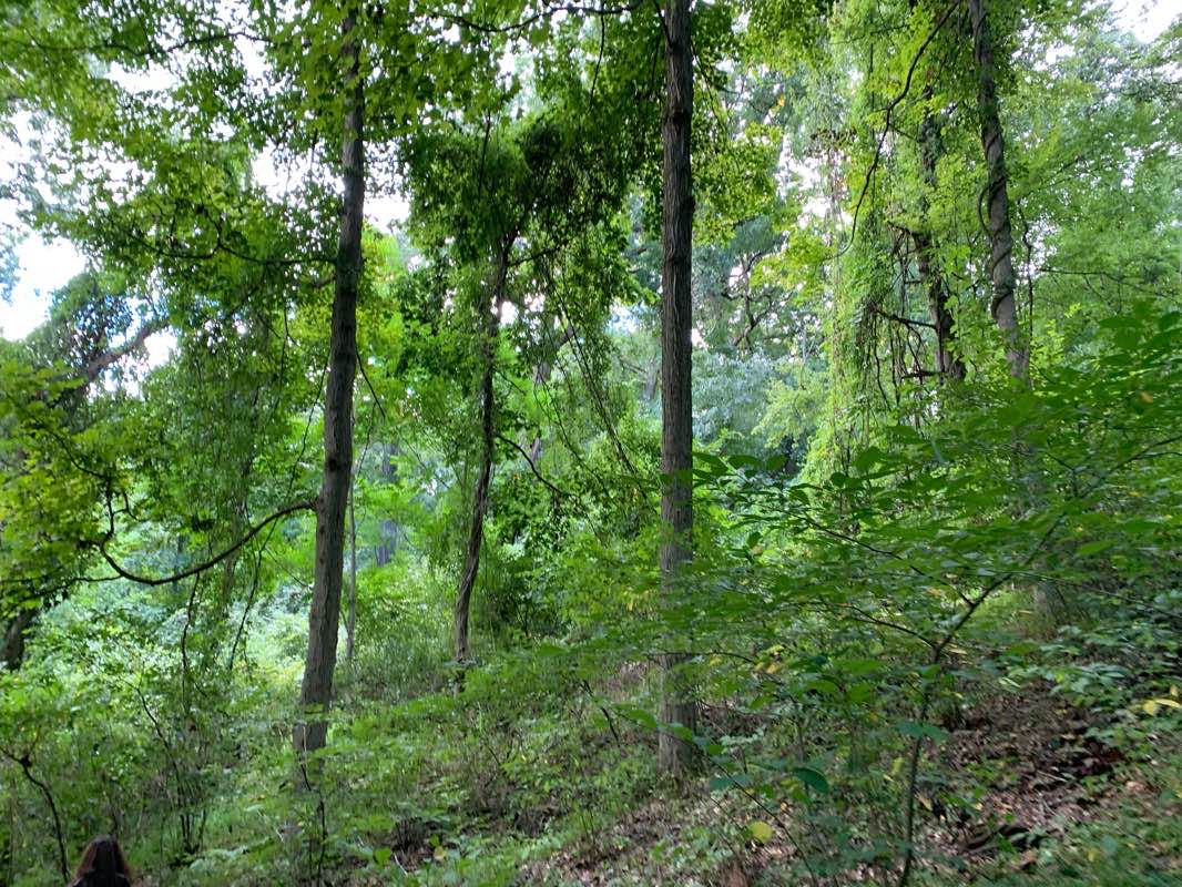walking near me in Sewickley Heights Borough Park in winter
