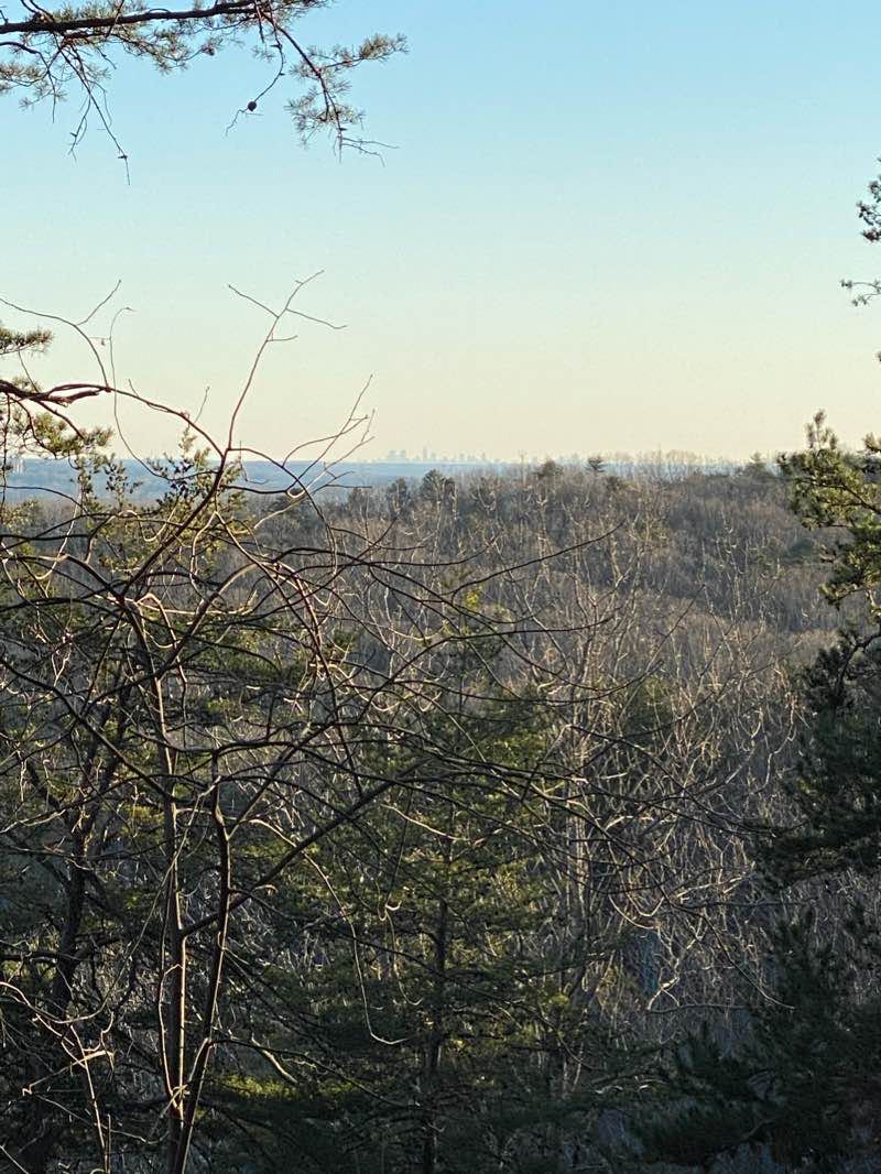 walking near me in Sawnee Mountain Preserve in winter