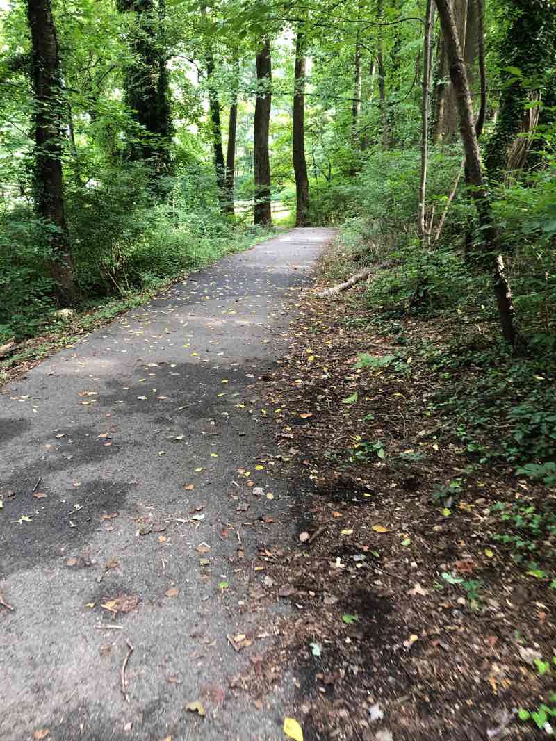 walking near me in Catonsville Park in winter