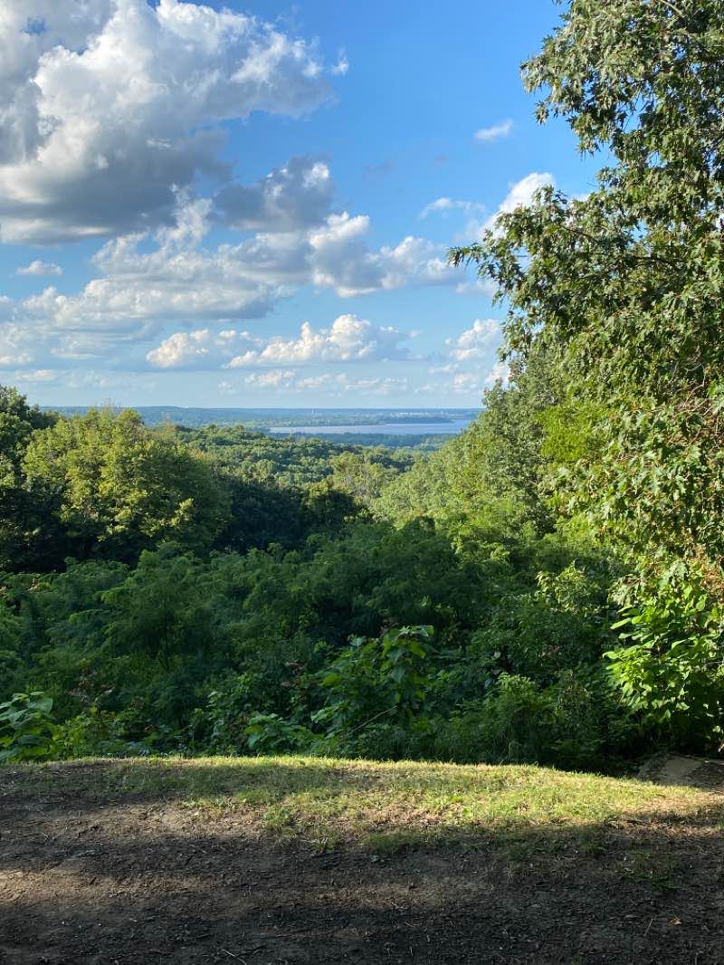 walking near me in Forest Park Nature Preserve in winter