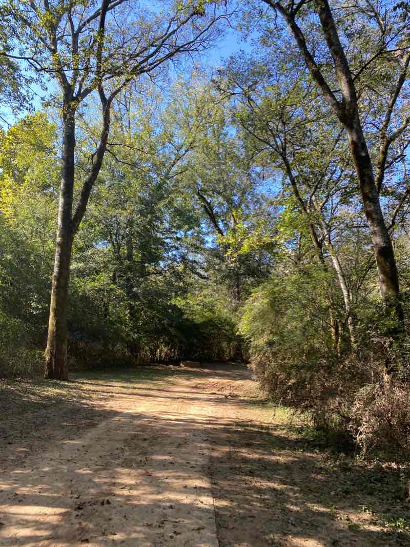 walking near me in oconee river greenway north path extension in winter