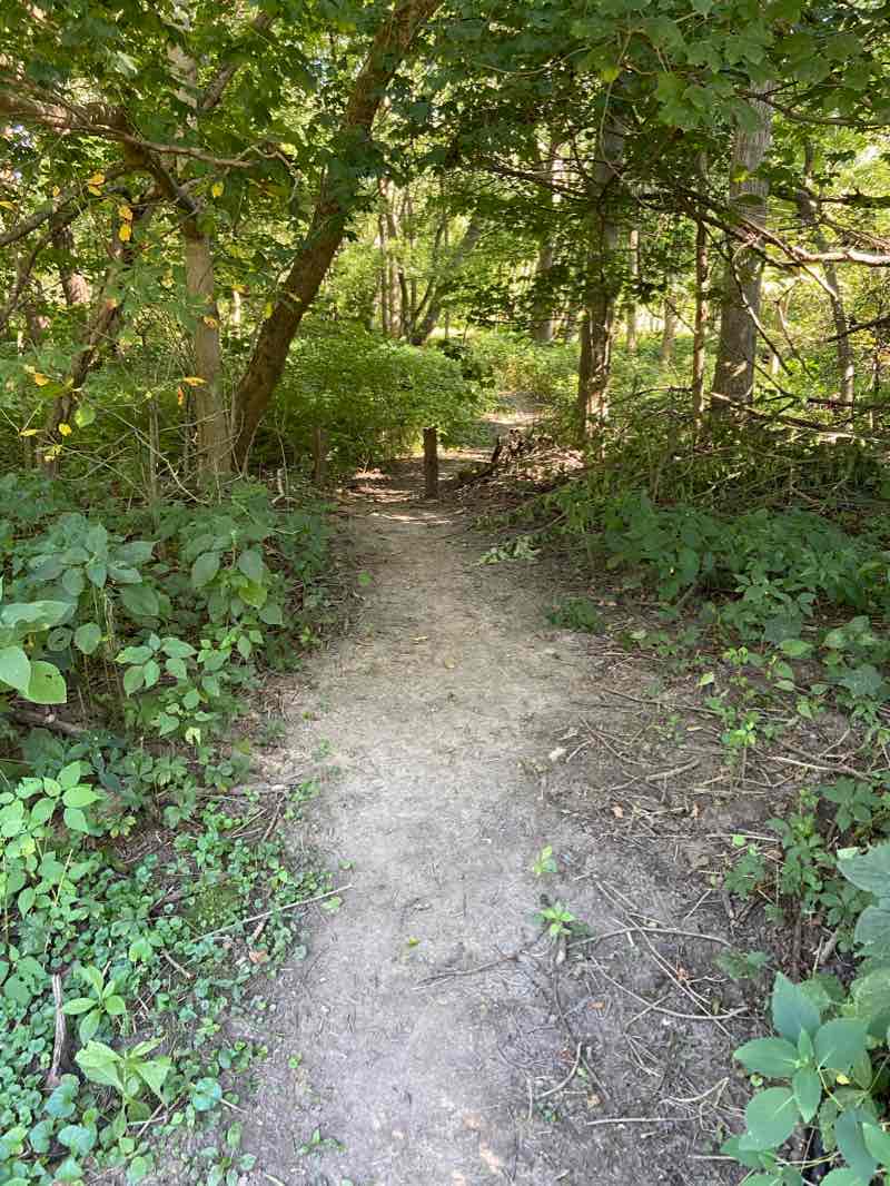 walking near me in Wildcat Park in winter