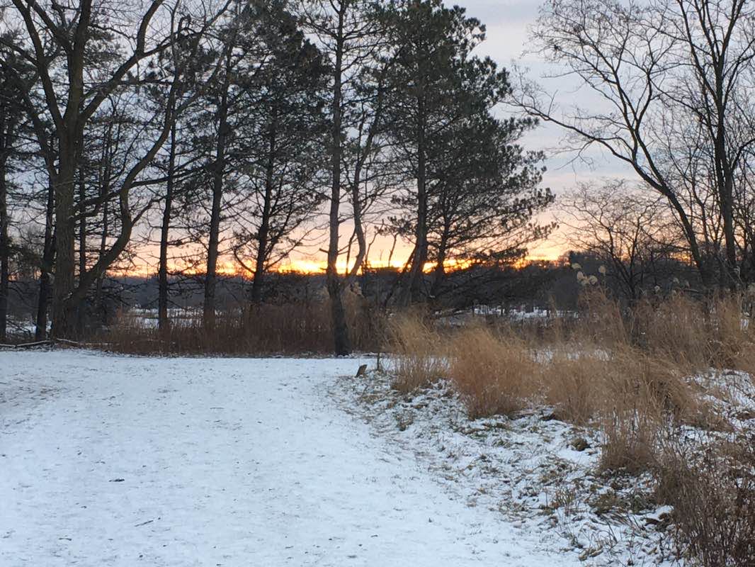 walking near me in Lake Katherine Nature Center & Botanic Gardens in winter