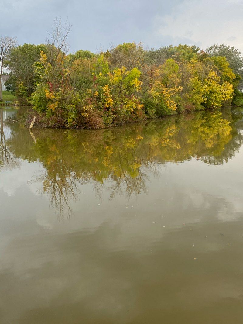 walking near me in Fannie P. Lewis Park;Fannie P Lewis Park in winter