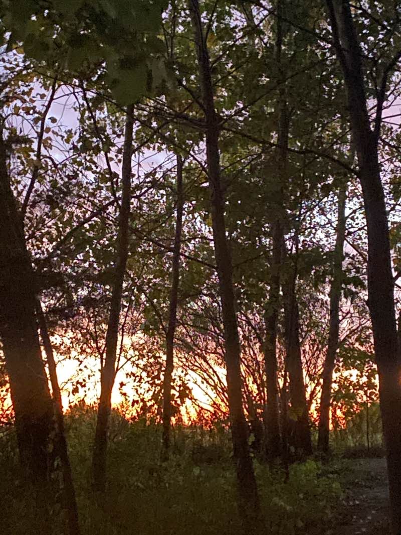 walking near me in Brandt / Quirk Park in winter