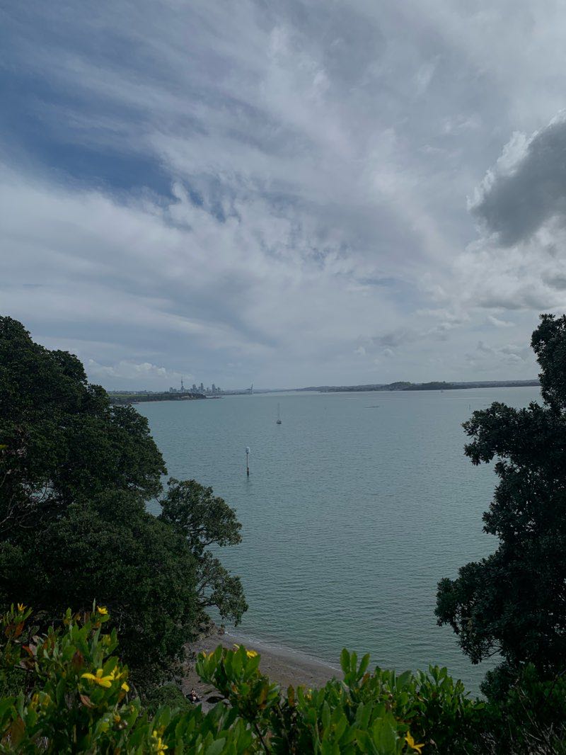 walking near me in Saint Heliers Bay Beach Reserve in summer