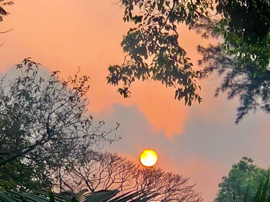 walking near me in Lions Safari Park in winter