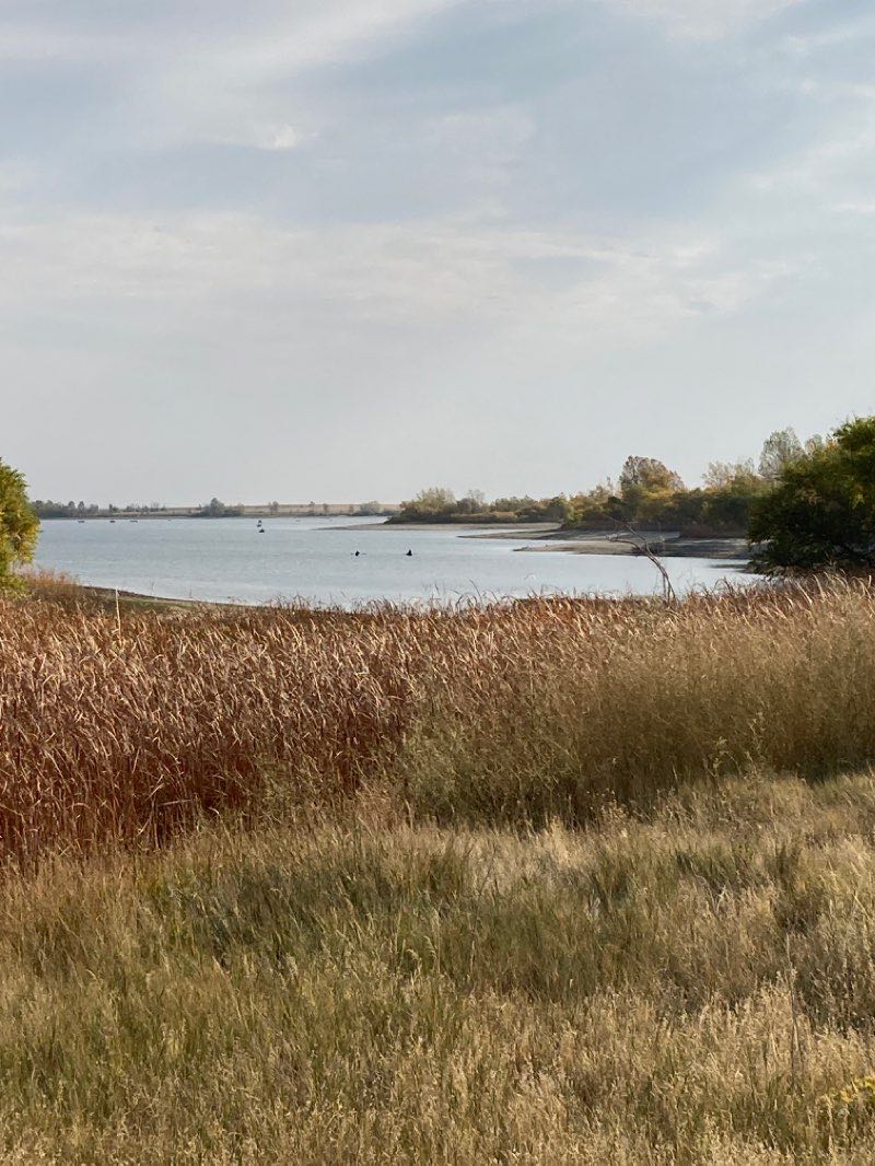 walking near me in Anchor Point Park in winter