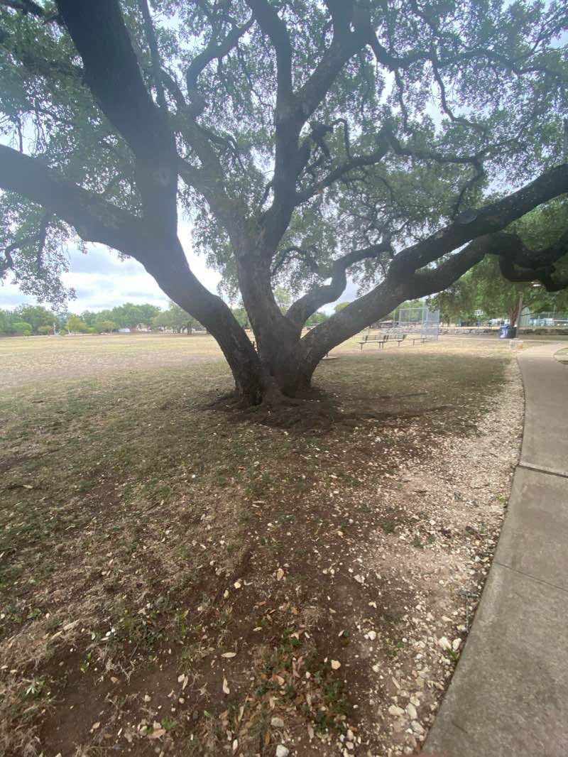 walking near me in Liberty Walk Greenbelt & Disc Golf Course in winter