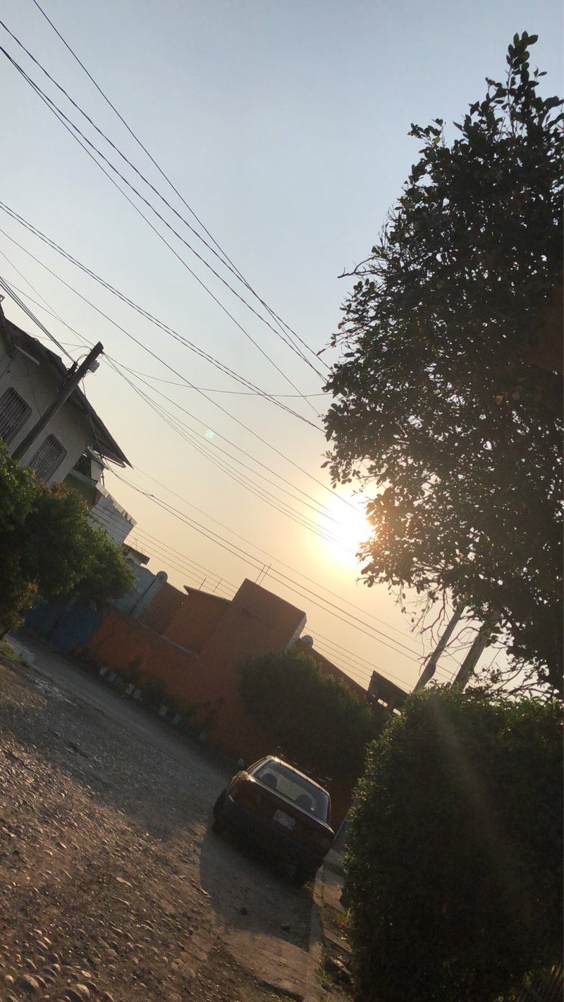 walking near me in Parque "Bosque la Concordia" in winter