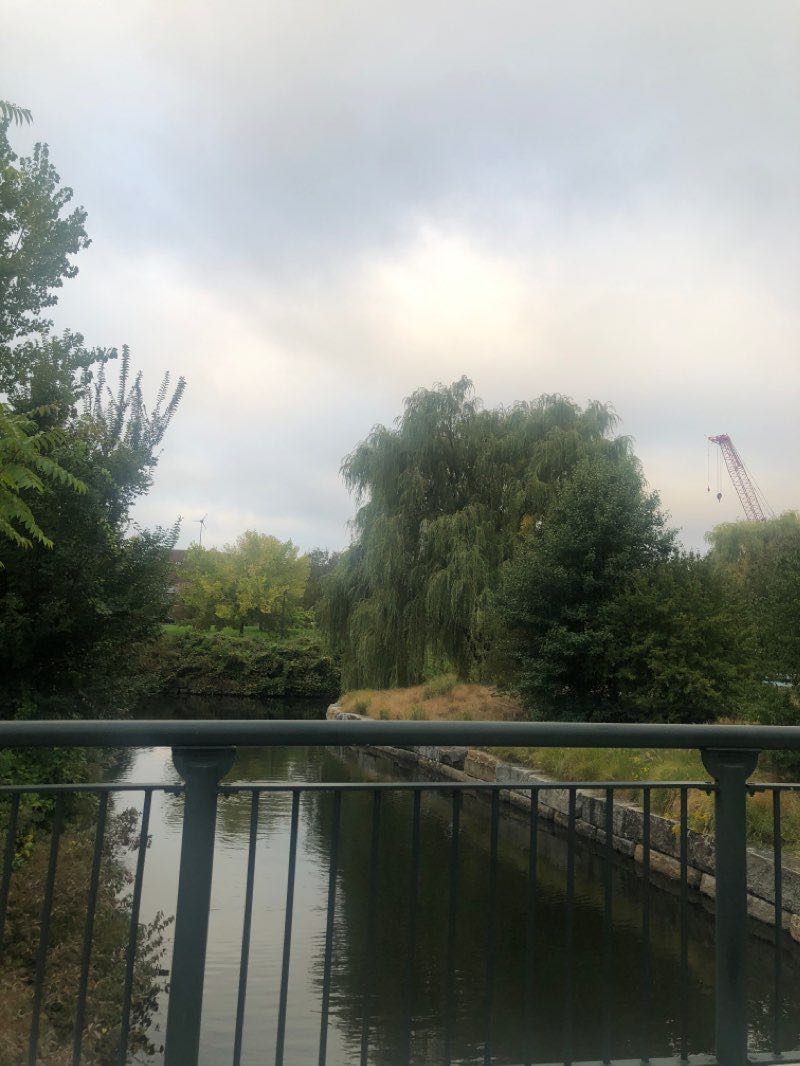 walking near me in NorthPoint Park in winter