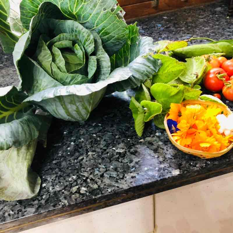 Nandini Jaiprakash post 3