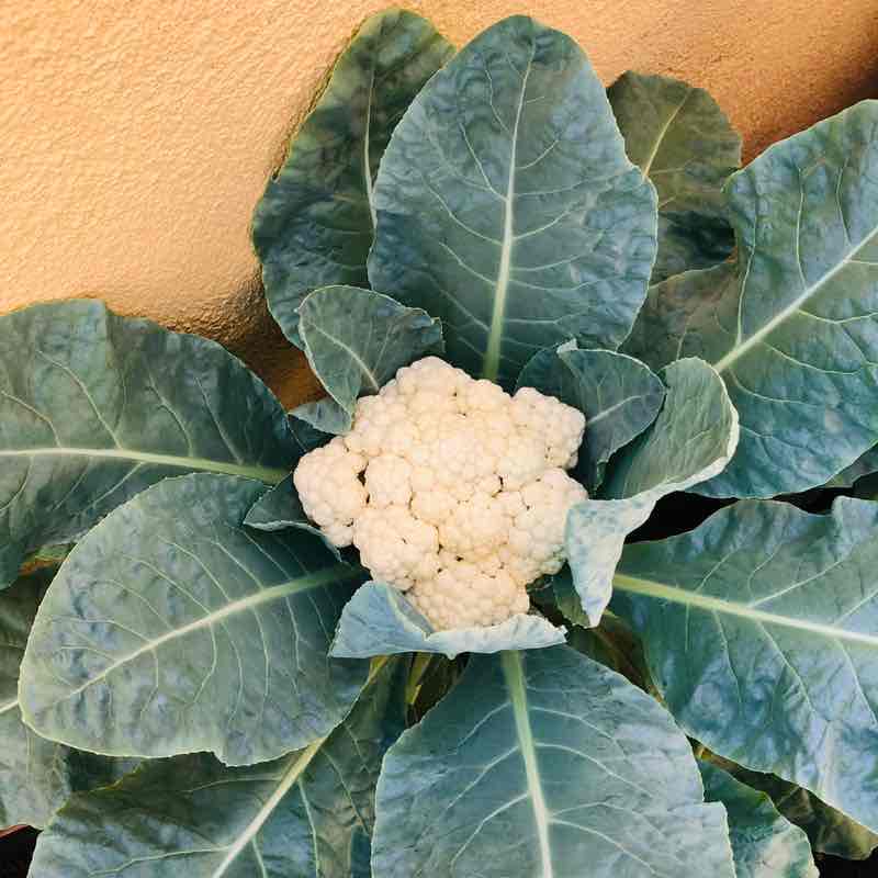 Nandini Jaiprakash post 2