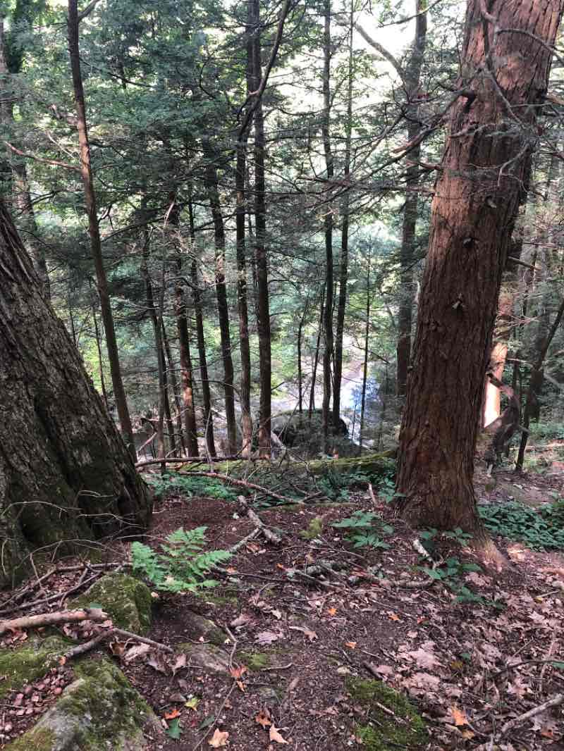walking near me in Kent Falls State Park in winter