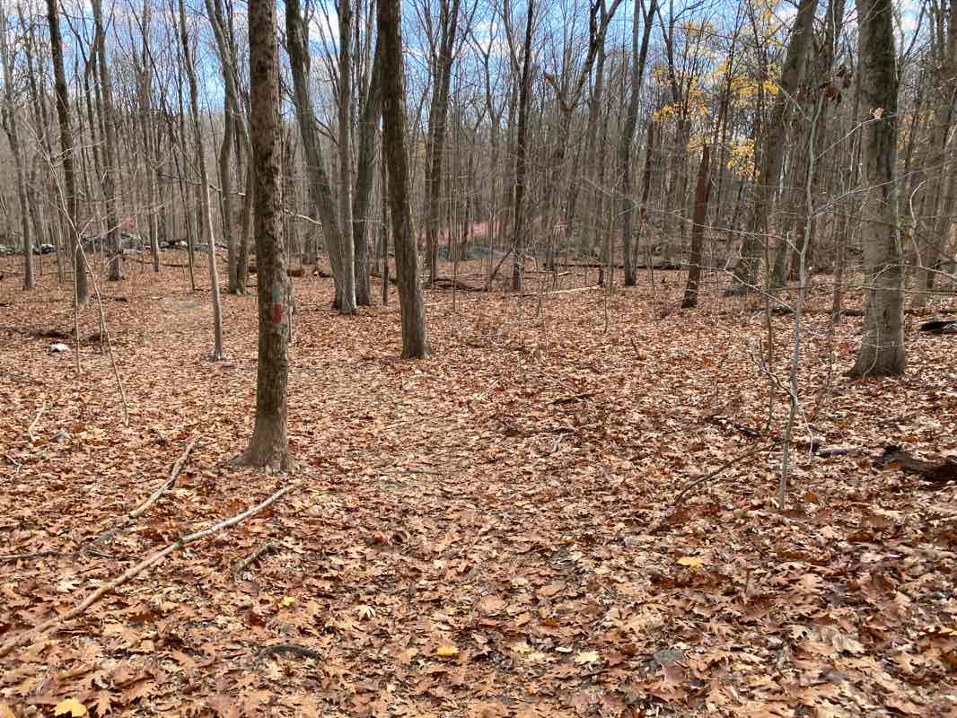 Mianus River State Park in Stamford | Map and Routes