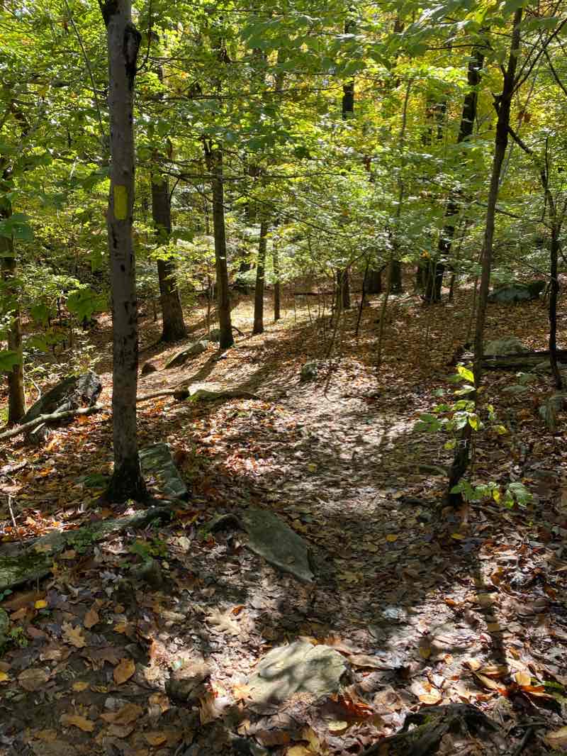 walking near me in Mianus River State Park in winter