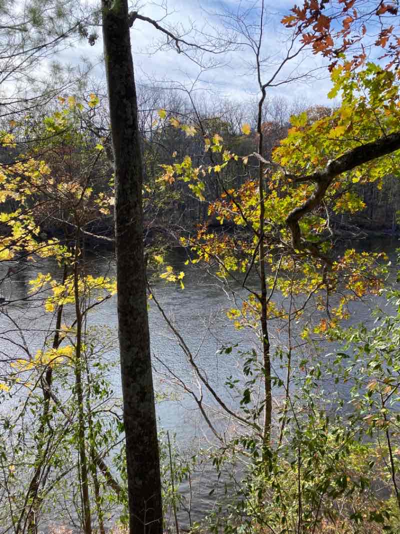 walking near me in Sega Meadows Park in winter