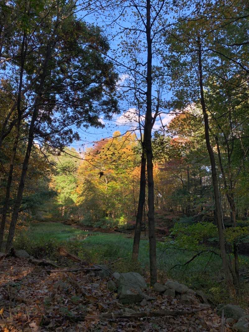 walking near me in Granite Knolls Park - West in winter