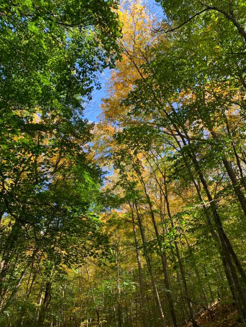 walking near me in Cross River Outlet Unit in winter