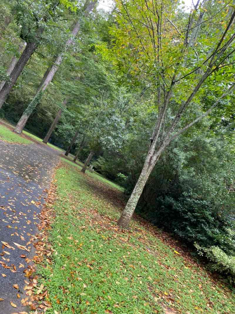walking near me in English Oak Park in winter