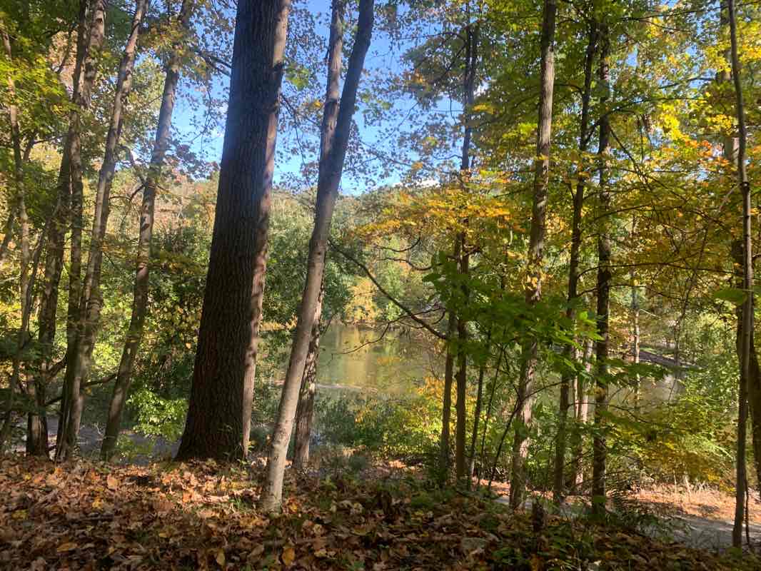 walking near me in West Branch Outlet Unit in winter