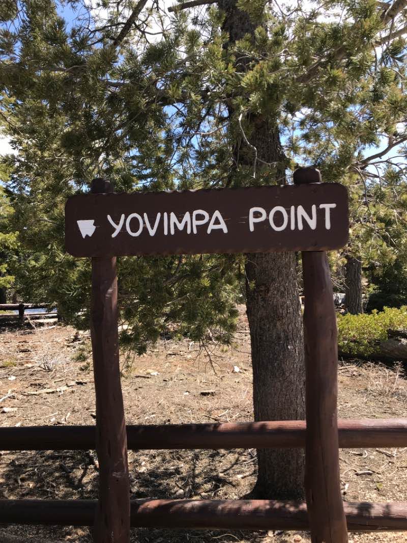 walking near me in Sunset Campground in winter