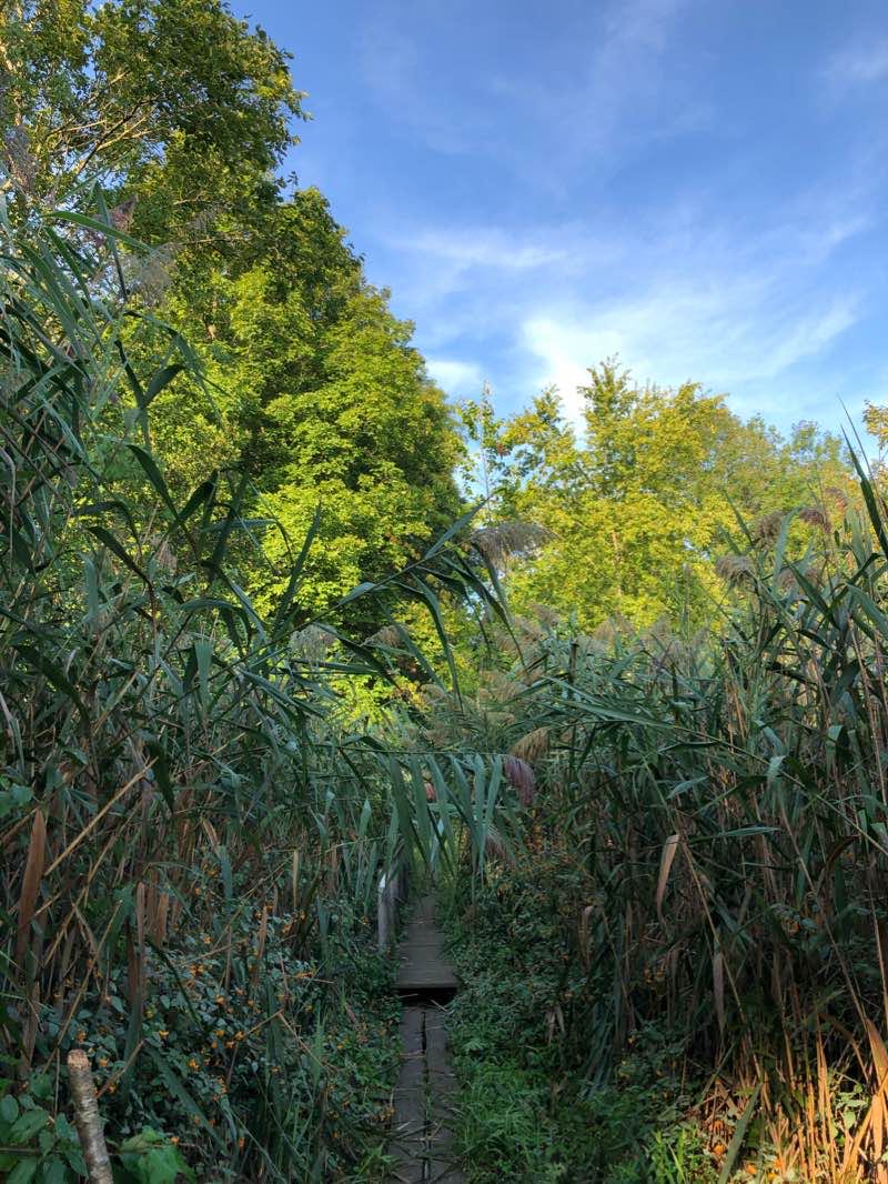 walking near me in United States of America Property in winter