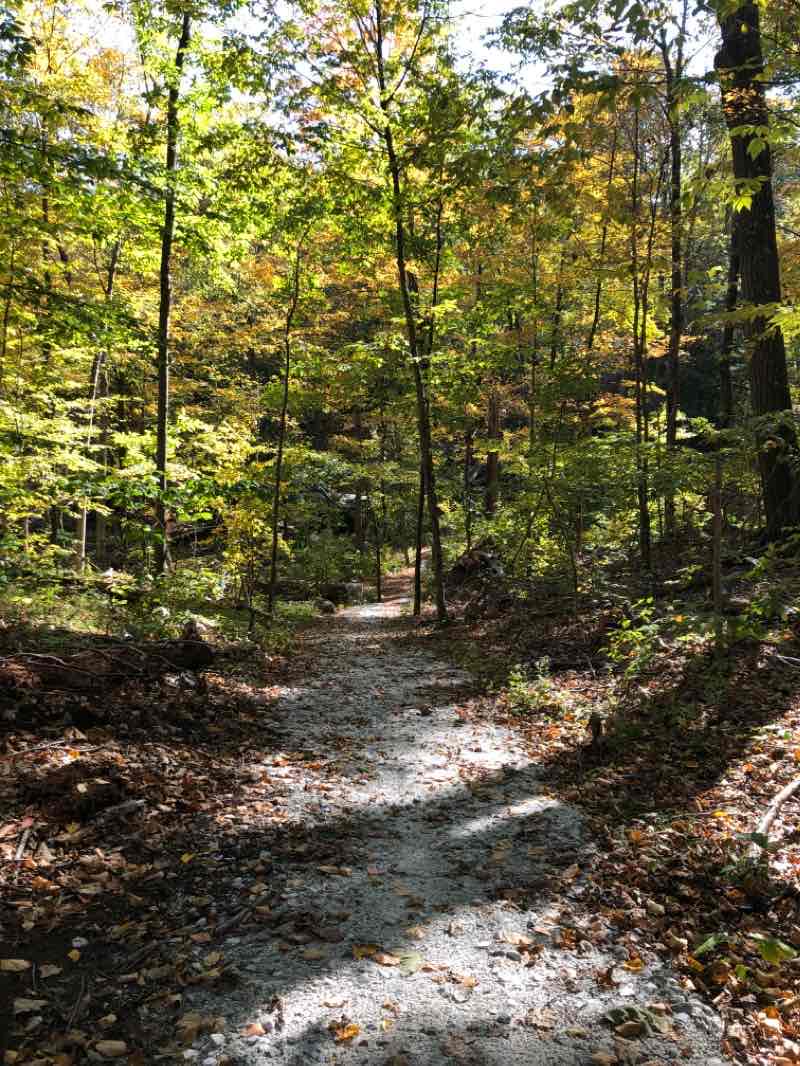 walking near me in Nimham Mountain Multiple Use Area in winter