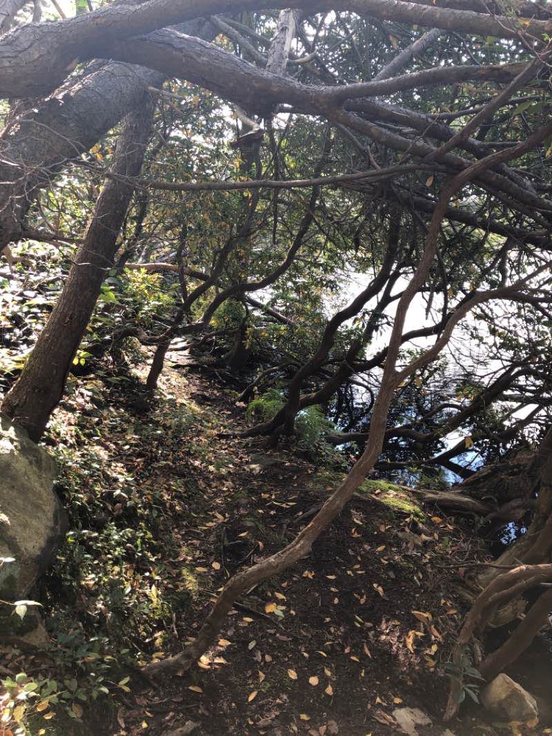 walking near me in Clarence Fahnestock Memorial State Park in winter