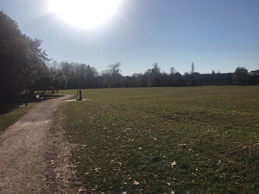 walking near me in Parco San Valentino in winter