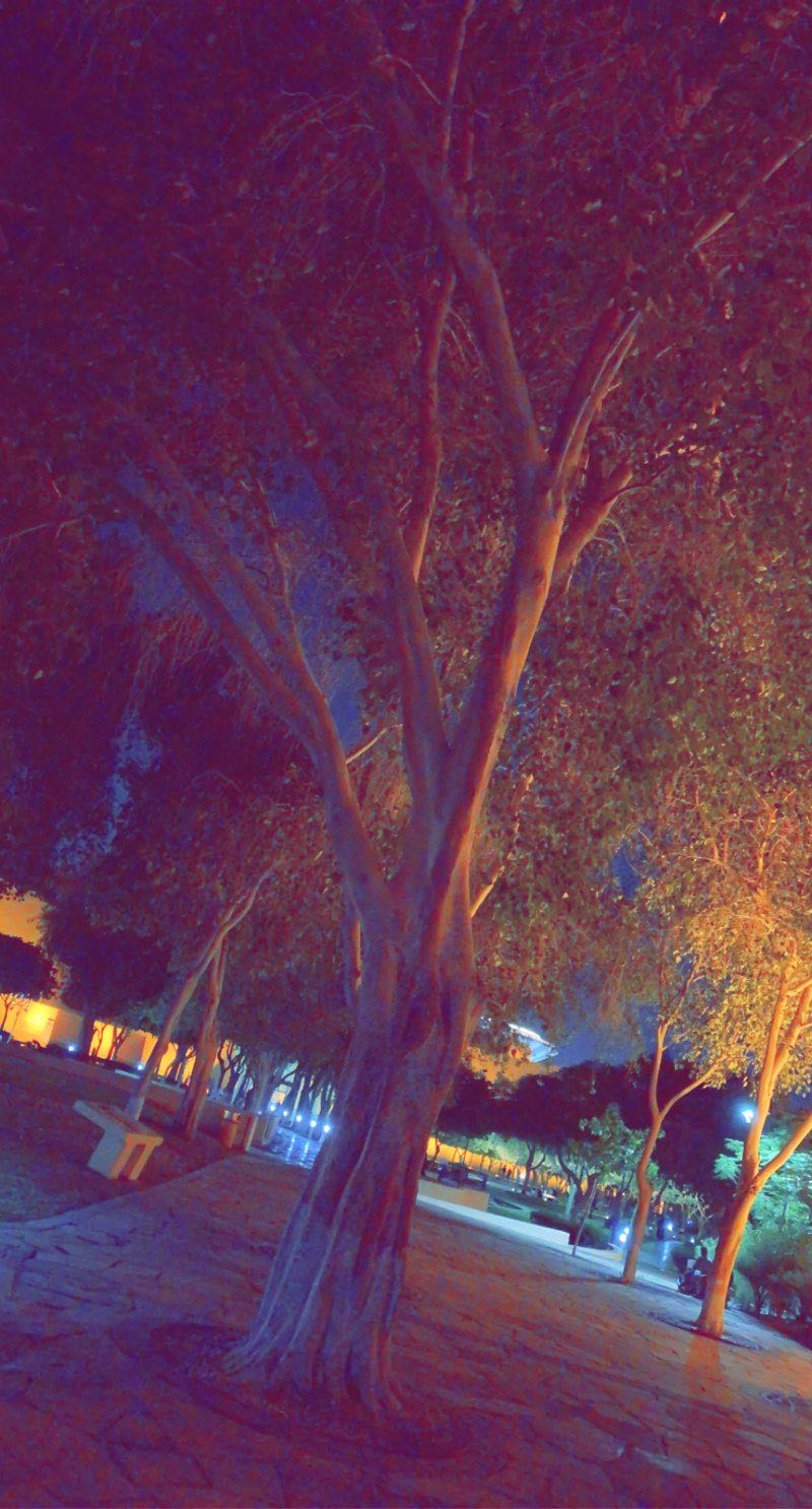 walking near me in King AbdulAziz Historical Center Park in winter