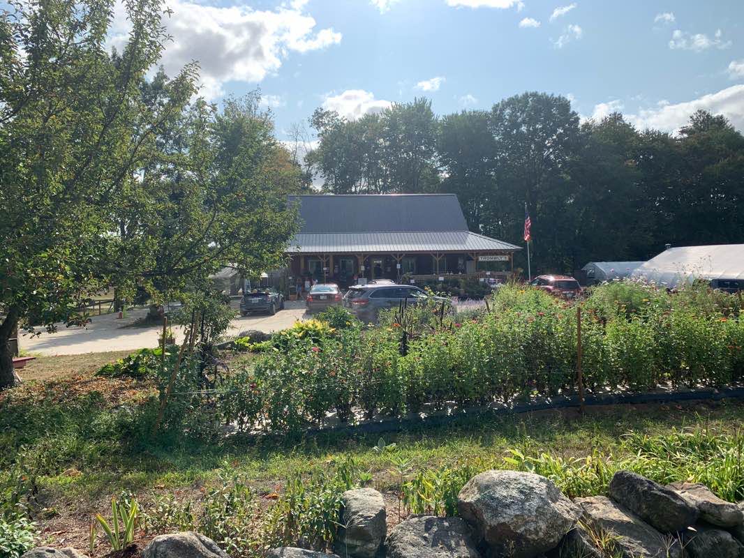 walking near me in Cemetery Field in winter