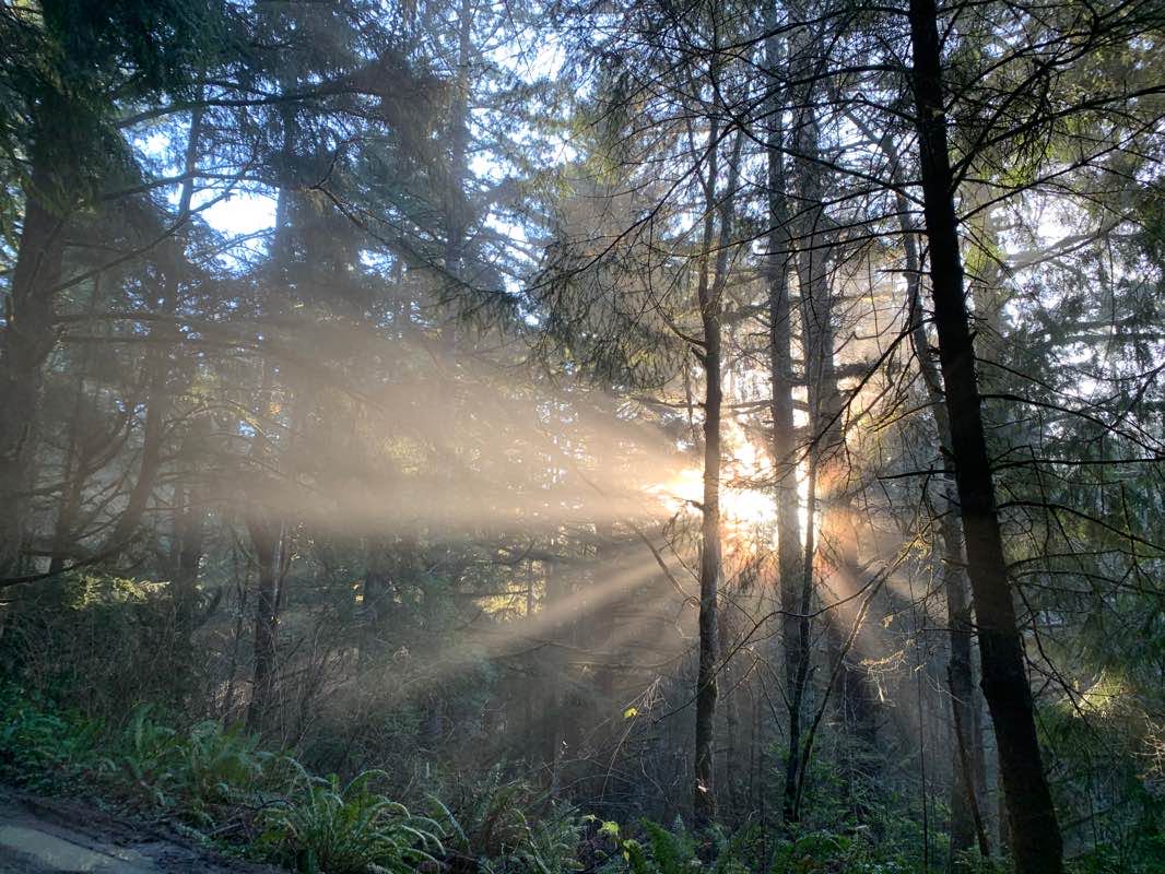 walking near me in Oregon Dunes National Recreation Area in winter