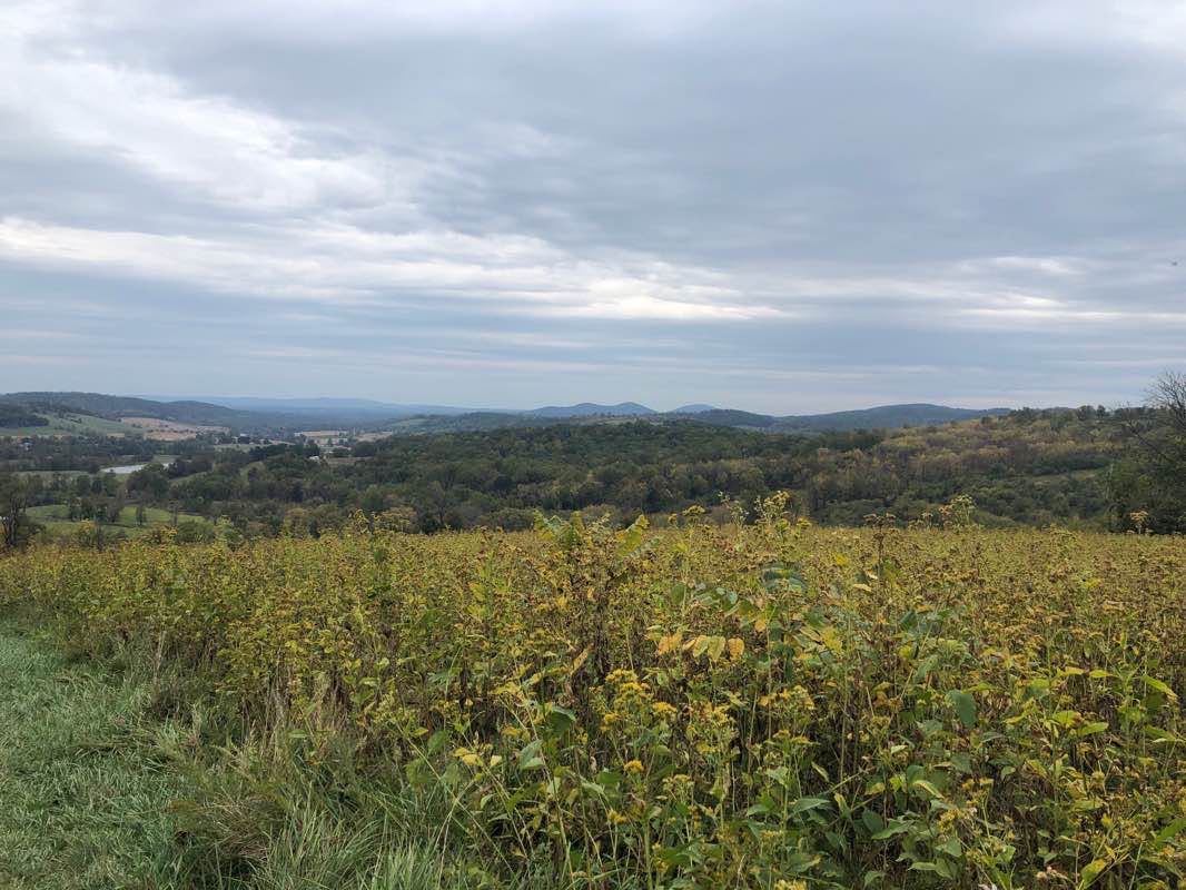walking near me in Sky Meadows State Park in winter