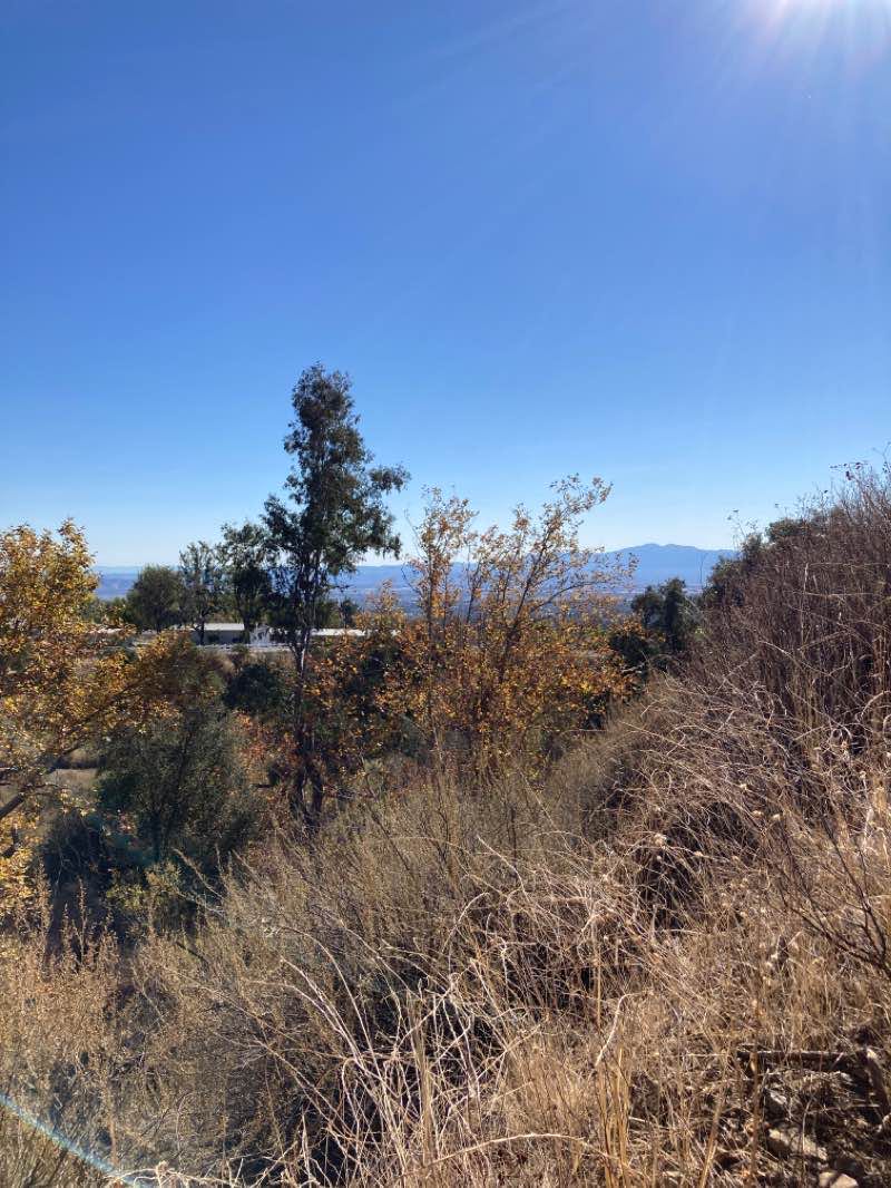 walking near me in Heritage Community Park in winter