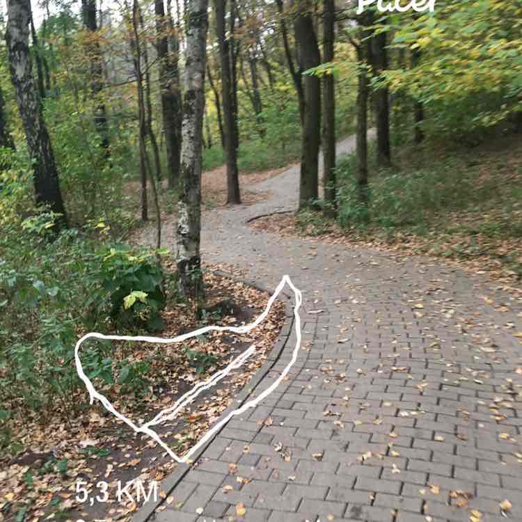 Василий post 1