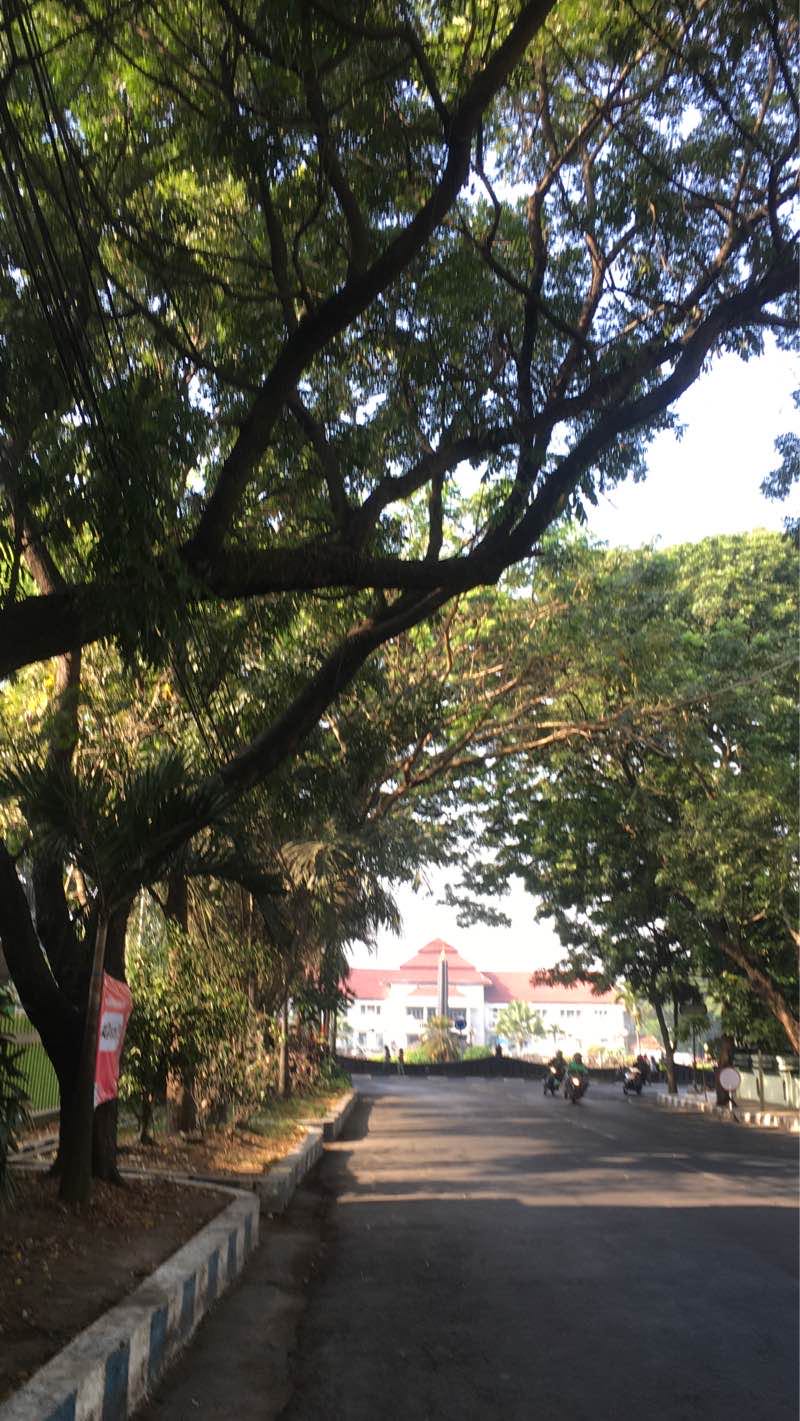 walking near me in Taman Trunojoyo in summer